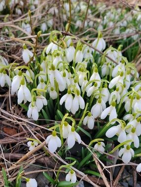 😎 4/$20 OR 5/$25 Video SALE 😎